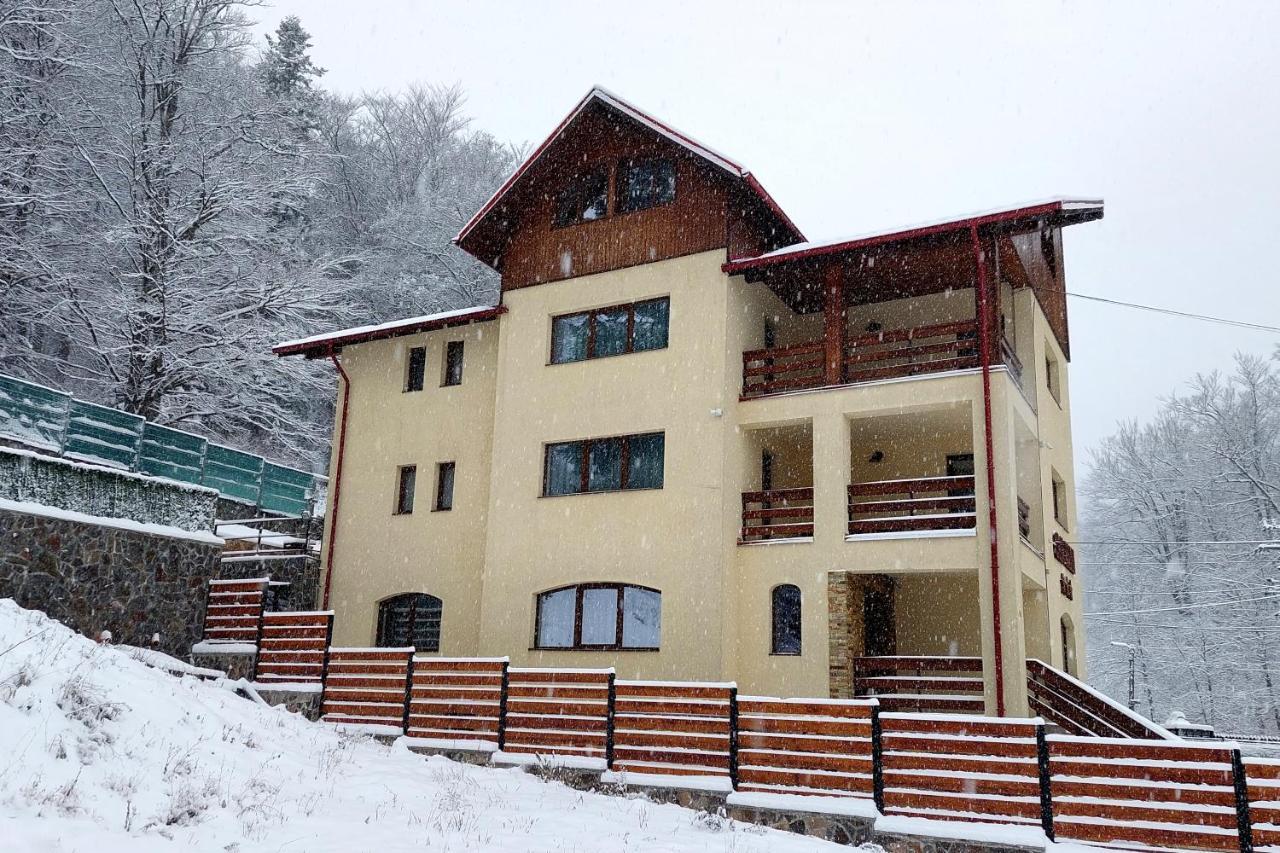 Отель Casa Raisa Буштени Экстерьер фото